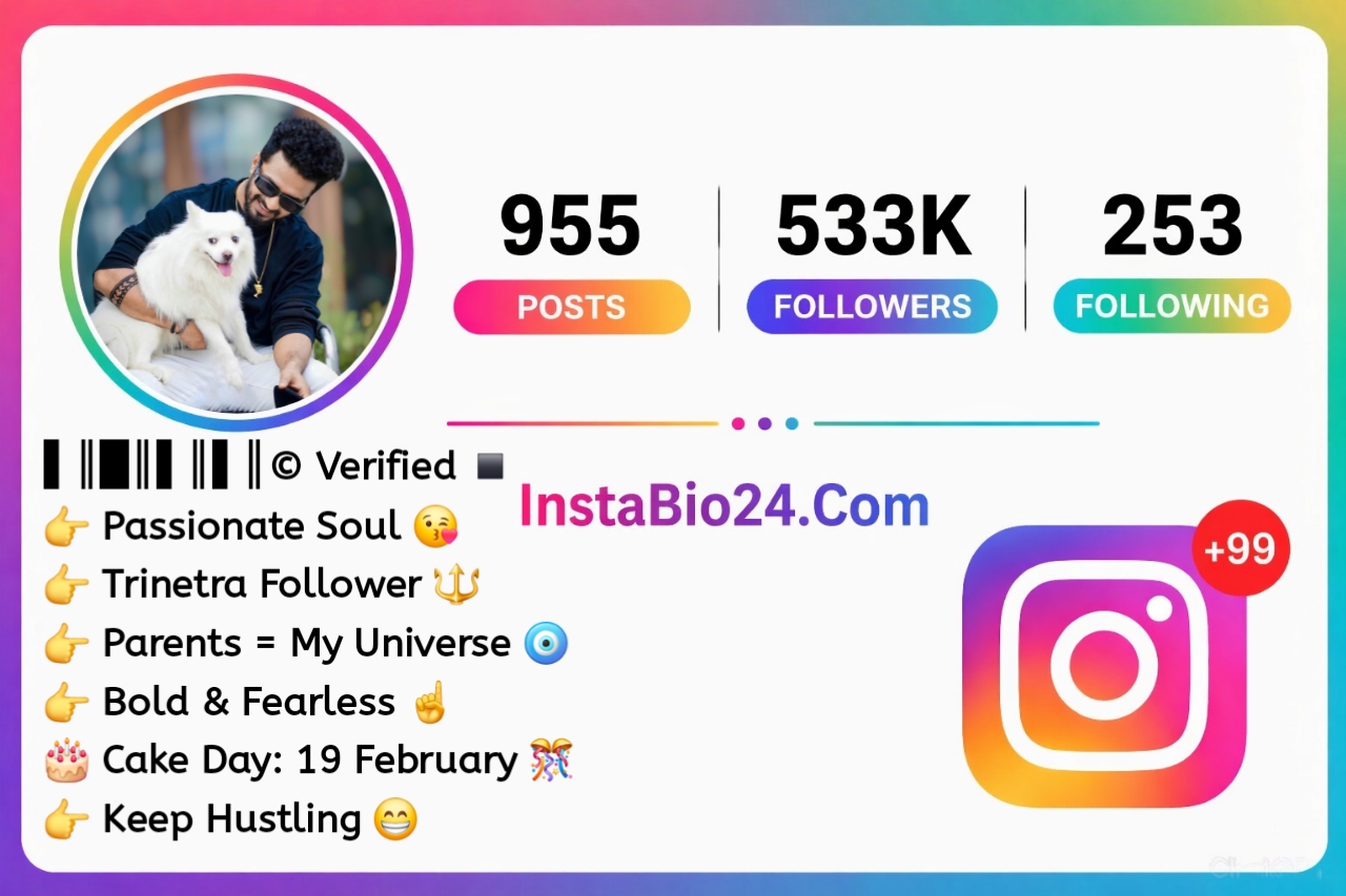Attitude Bio For Instagram For Boys