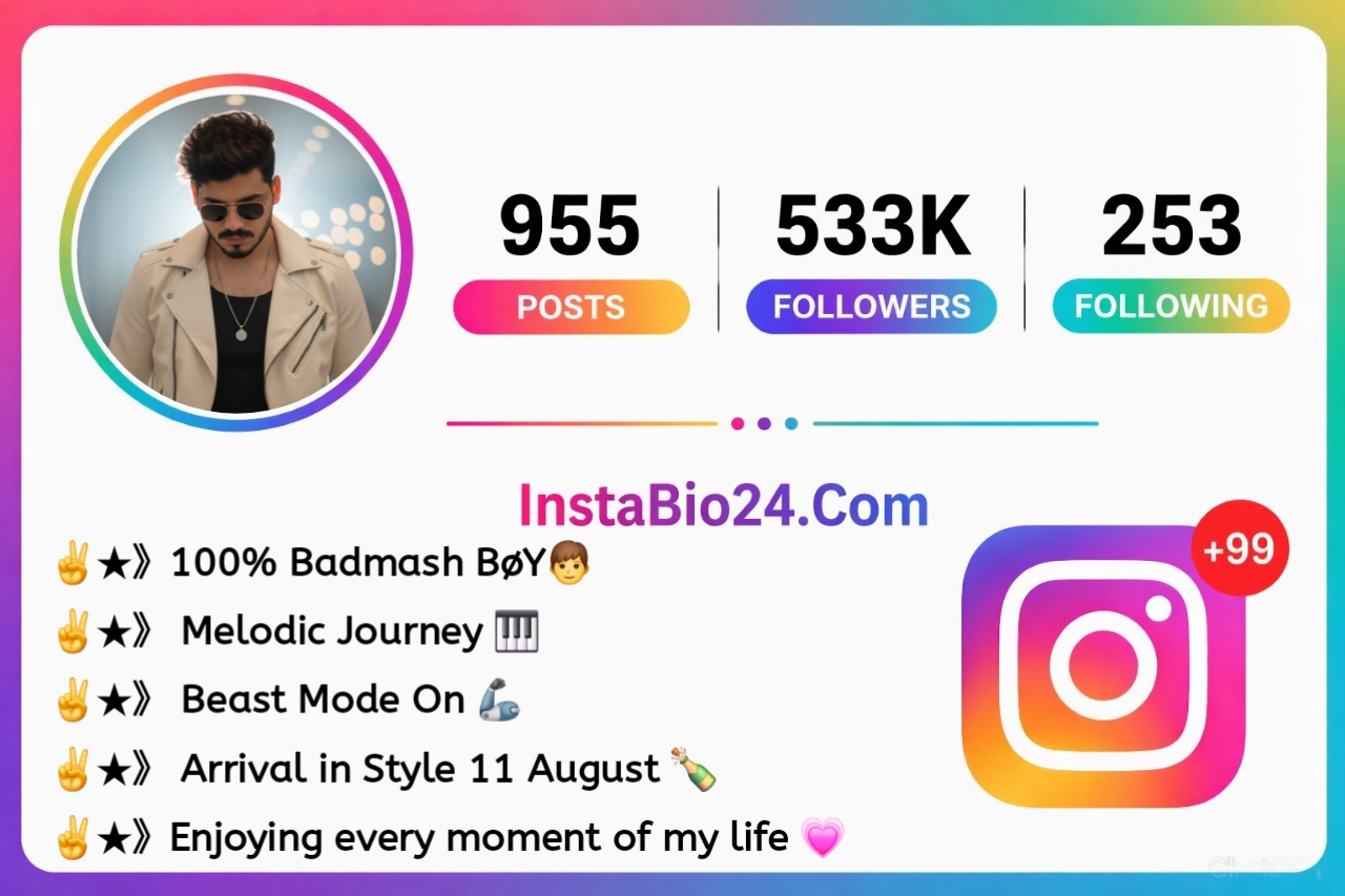 Instagram Bio for Boys Attitude