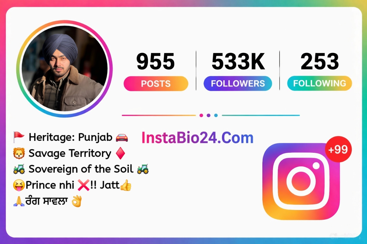 Punjabi Bio For Instagram